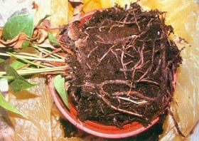 嘉興鋁管廠家直銷